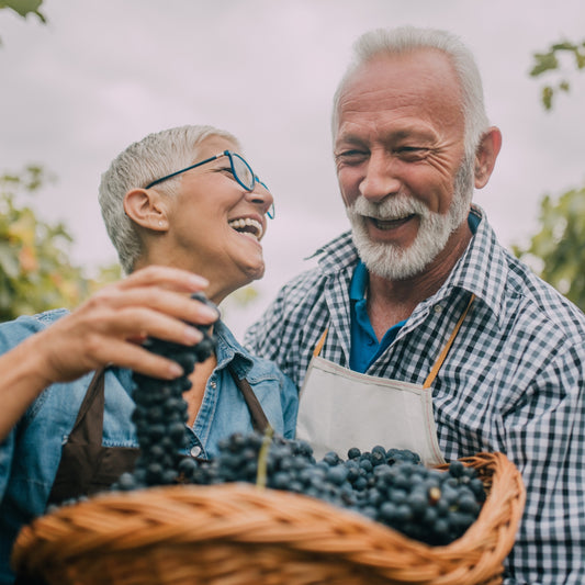 The Sweet Secret of White Mulberry Leaf Extract for Blood Sugar Control